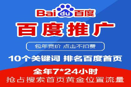 竞价推广公司经典案例：打造行业领先的广告投放效果